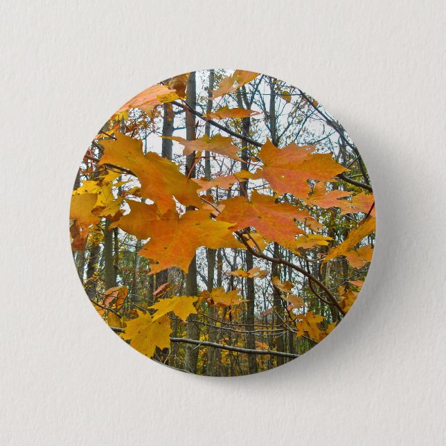 Autumn Maple Foliage 6 Cm Round Badge (Front)