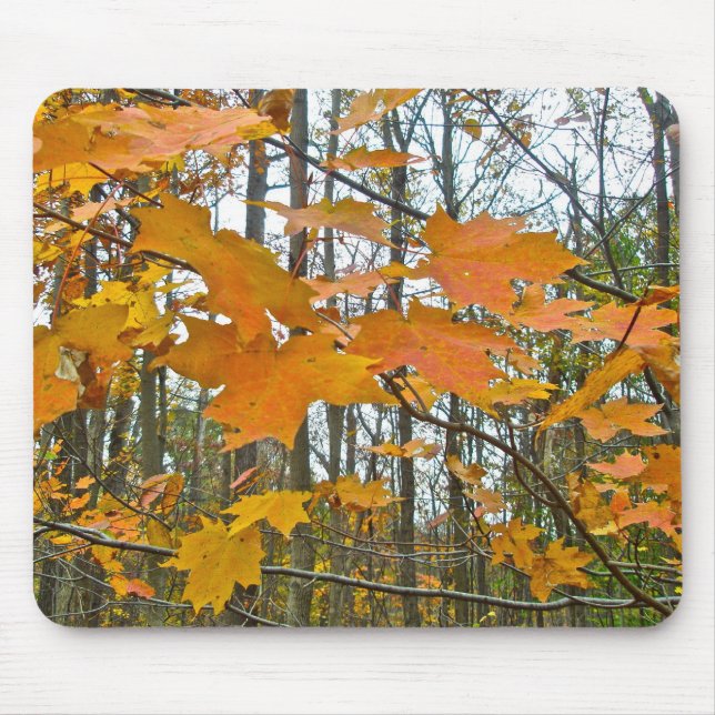 Autumn Maple Foliage Mouse Pad (Front)