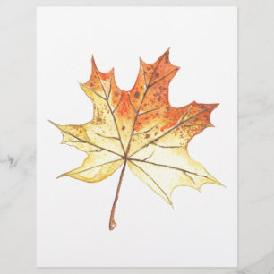 Autumn maple leaf