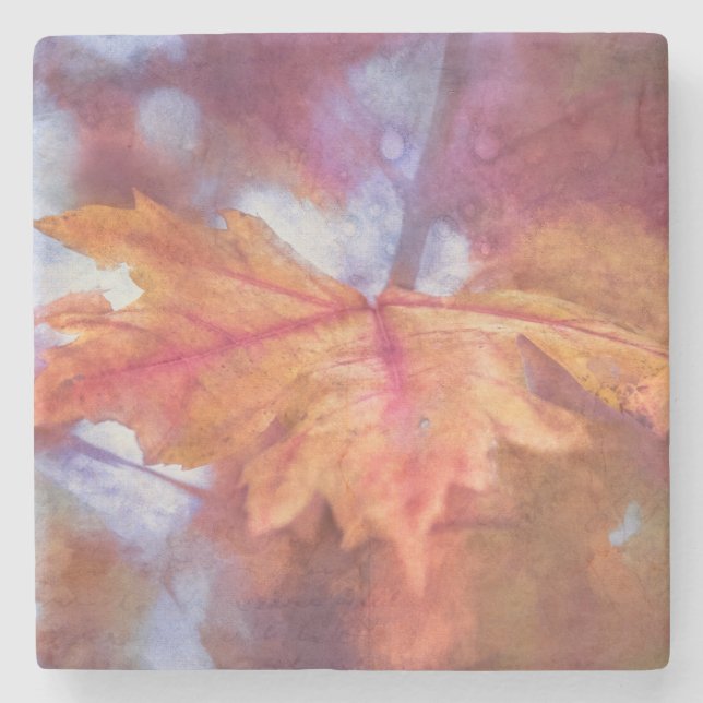 Autumn Maple Leaf Photo Art Stone Coaster (Front)