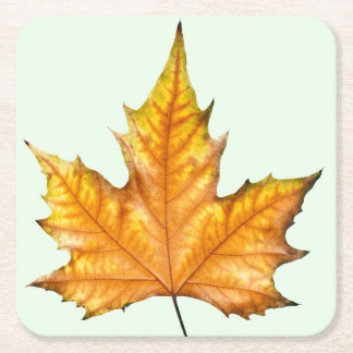 Autumn maple leaf square paper coaster