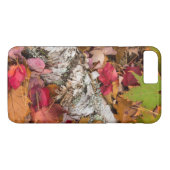 Autumn Maple Leaves Cover Birch Bark On Forest (Back (Horizontal))