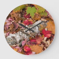 Autumn Maple Leaves Cover Birch Bark On Forest