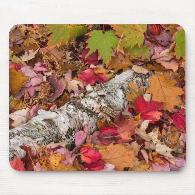 Autumn Maple Leaves Cover Birch Bark On Forest Mouse Pad (Front)