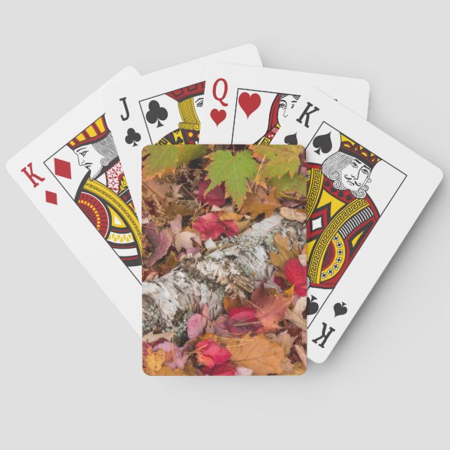 Autumn Maple Leaves Cover Birch Bark On Forest Playing Cards (Back)