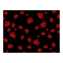 Autumn Maple Leaves on Black Background Poster