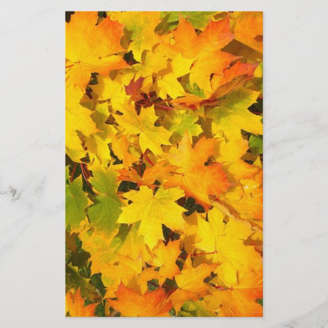 Autumn Maple Leaves Scrapbook Paper (Front)