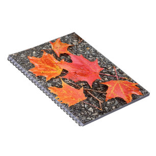 Autumn Maple Leaves Spiral Notebook