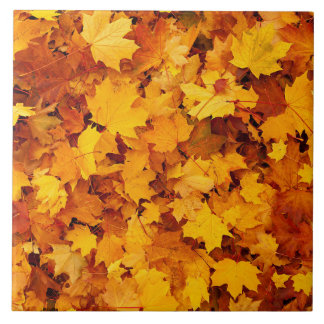 Autumn Maple Leaves Tile