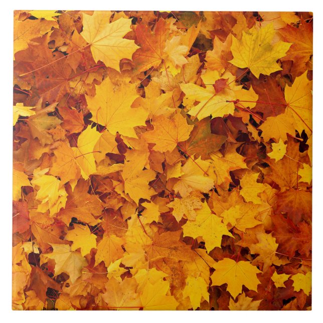 Autumn Maple Leaves Tile (Front)