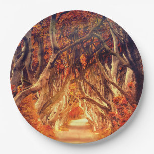Autumn maple tree forest fall woods foliage paper plate