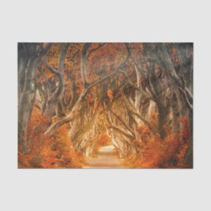 Autumn maple tree forest fall woods foliage tissue paper