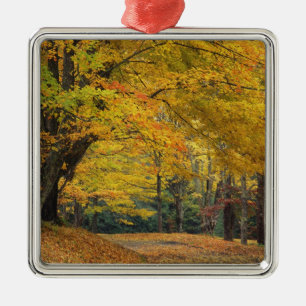 Autumn maple tree overhanging country lane, metal tree decoration