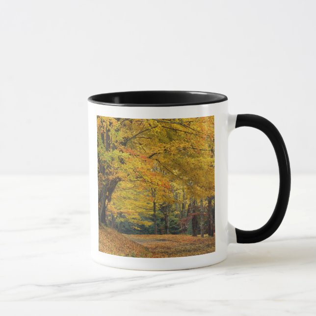 Autumn maple tree overhanging country lane, mug (Right)