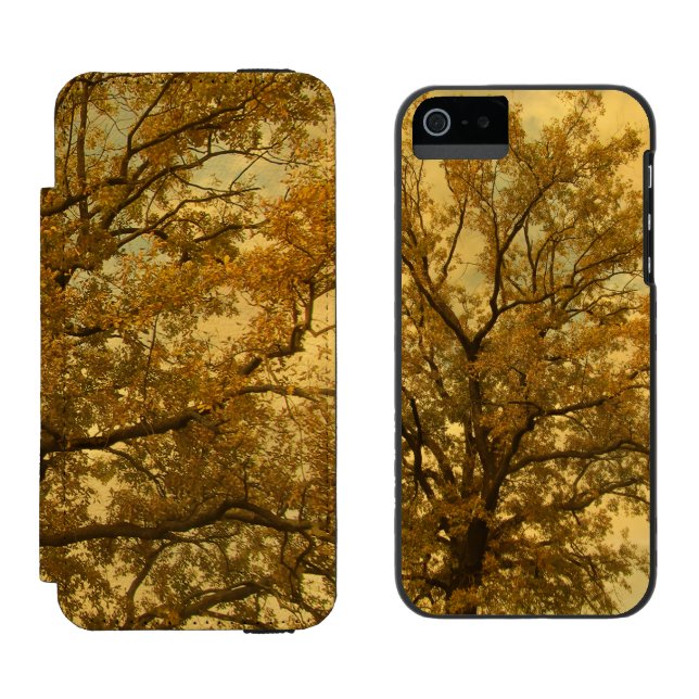 Autumn Massive Tree Yellow Incipio iPhone Wallet Case (Side by Side)