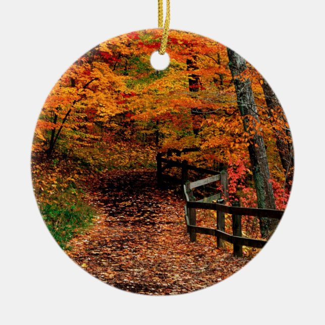 Autumn Mccormick Creek State Park Indiana Ceramic Tree Decoration (Front)