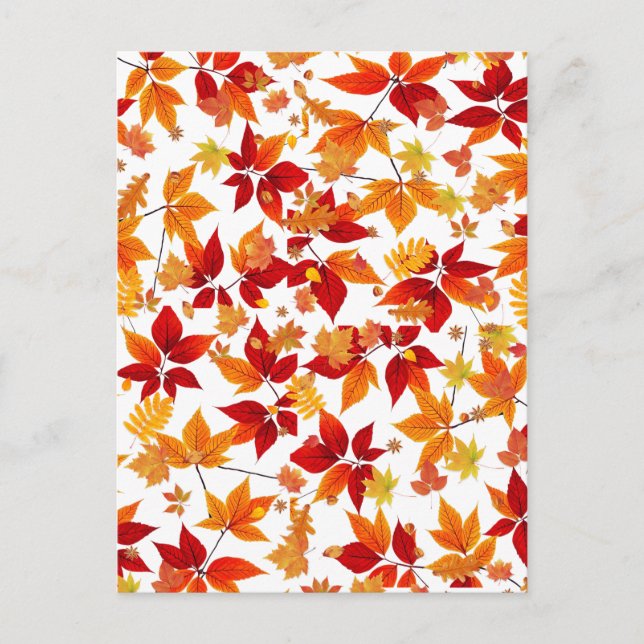 Autumn Midnight  Postcard (Front)
