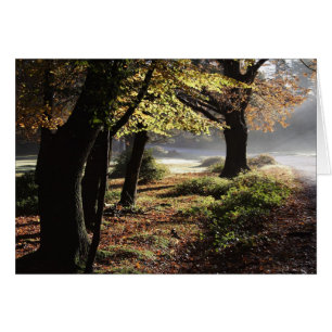 Autumn mist card