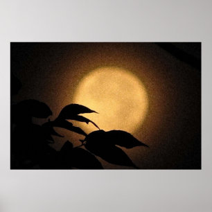 Autumn Moon Poster