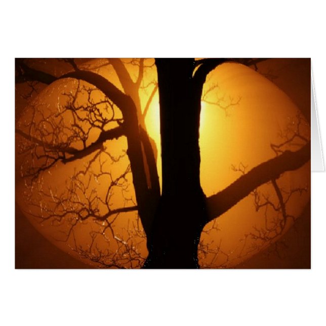 Autumn Moon Shining Through the Tree (Front Horizontal)