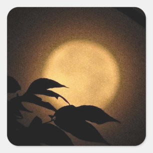 Autumn Moon Square Sticker