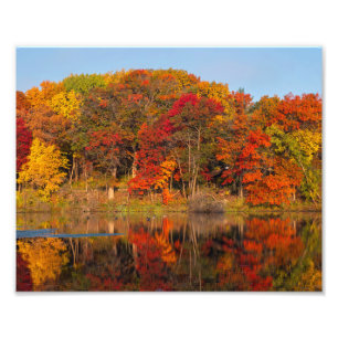 autumn morning at marthaler park and pond photo print