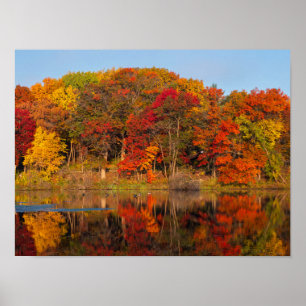 autumn morning at marthaler park and pond poster