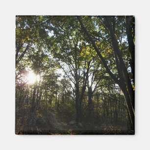 Autumn Morning at Shenandoah National Park Magnet