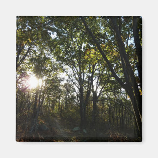 Autumn Morning at Shenandoah National Park Magnet