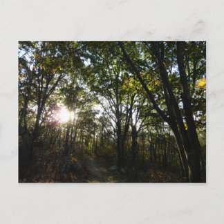 Autumn Morning at Shenandoah National Park Postcard