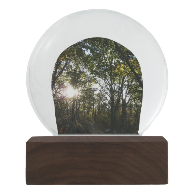 Autumn Morning at Shenandoah National Park Snow Globe (Front)