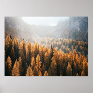 Autumn Mountain View With Yellow Larches Poster