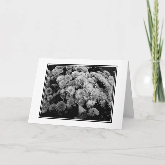 'Autumn Mums' Blank Greeting Card (Front)