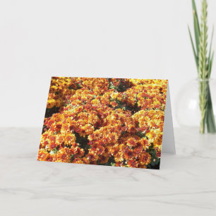 Autumn Mums Holiday Card