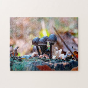 Autumn Mushroom Jigsaw Puzzle