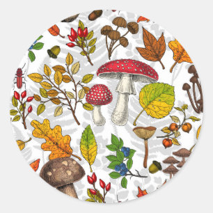 Autumn mushrooms, leaves, nuts and berries on whit classic round sticker