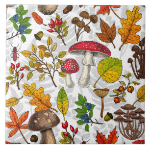 Autumn mushrooms, leaves, nuts and berries on whit tile