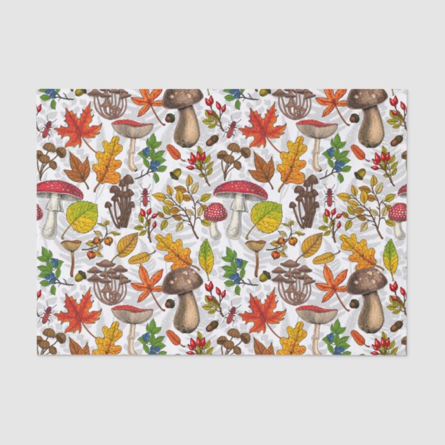 Autumn mushrooms, leaves, nuts and berries on whit tissue paper (Front)