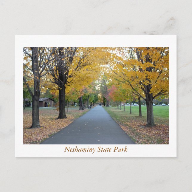 Autumn Neshaminy State Park Postcard (Front)