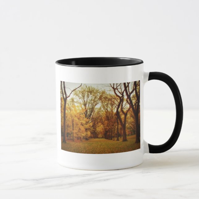 Autumn - New York City Mug (Right)