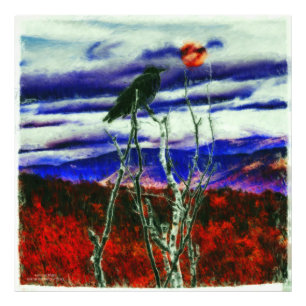 Autumn Night Photo Print