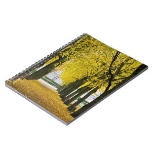 Autumn Notebook