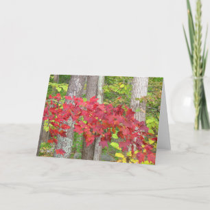 Autumn Notecard