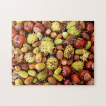 Autumn nuts and conkers