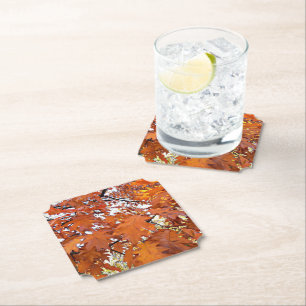 Autumn Oak Leaves Floral Paper Coaster