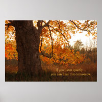 Autumn Oak