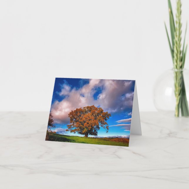 Autumn Oak Tree in Wales - blank note card (Front)