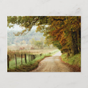 Autumn on a Country Road Postcard