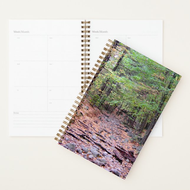 Autumn on Blue Hills Reservation Red Dot Trail Planner (Display)