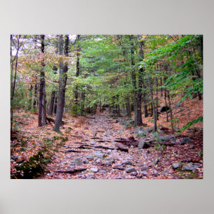 Autumn on Blue Hills Reservation Red Dot Trail Poster